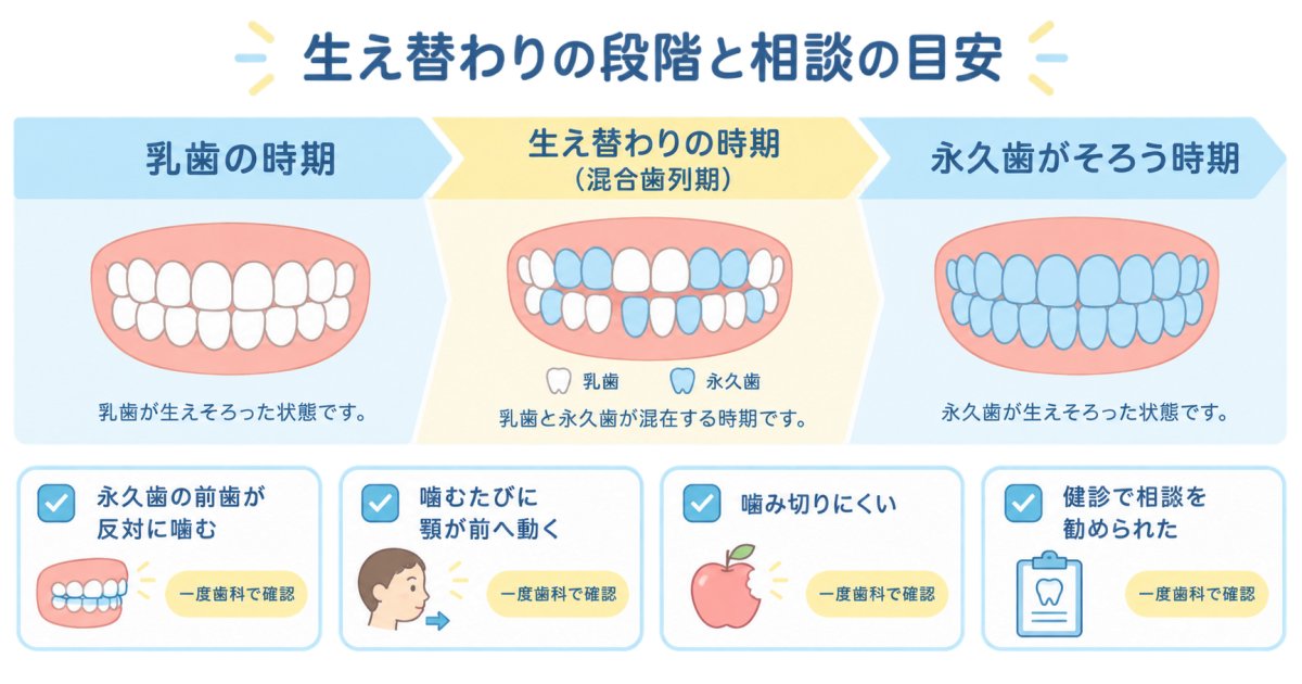 生え替わり中なら、反対の噛み合わせは自然に変わる?